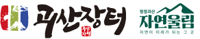 괴산장터입니다