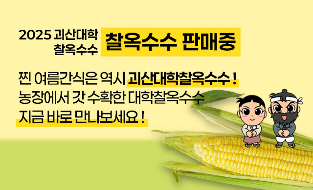[2025 괴산대학찰옥수수 판매중