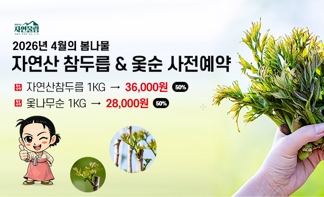 자연산참두릅 사전예약 할인이벤트
