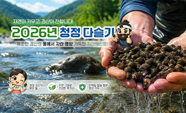 2026년 자연산 다슬기