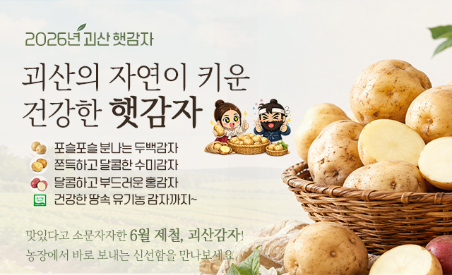  2026 괴산 햇감자