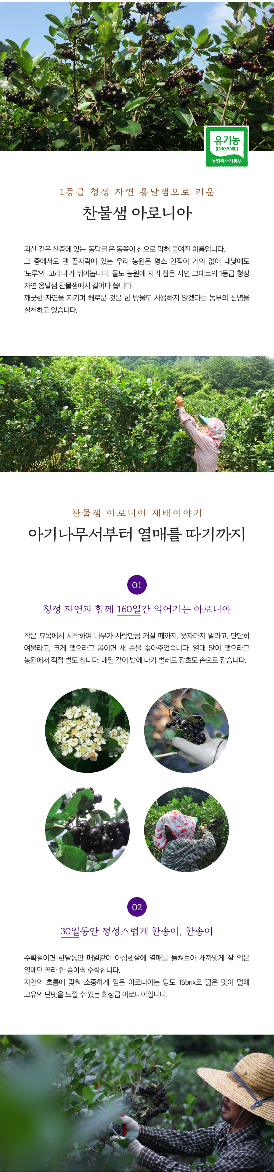 editor이미지