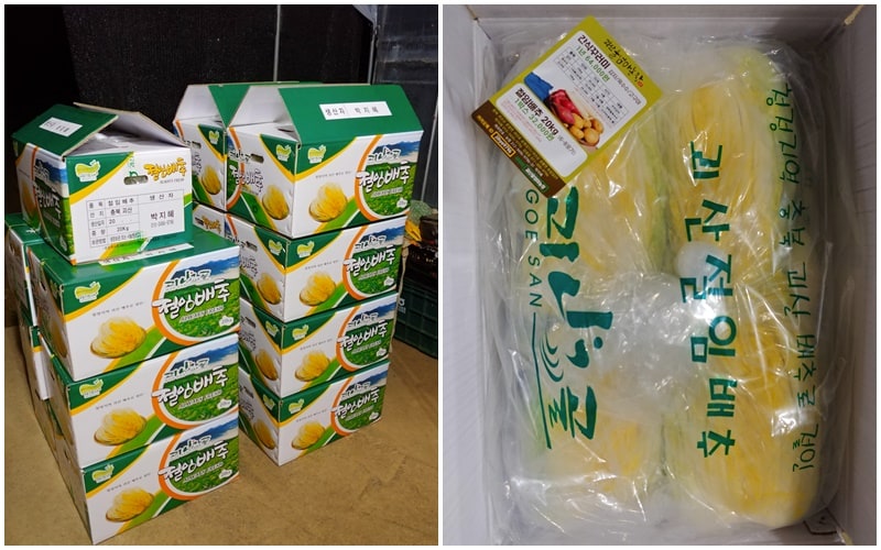 editor이미지