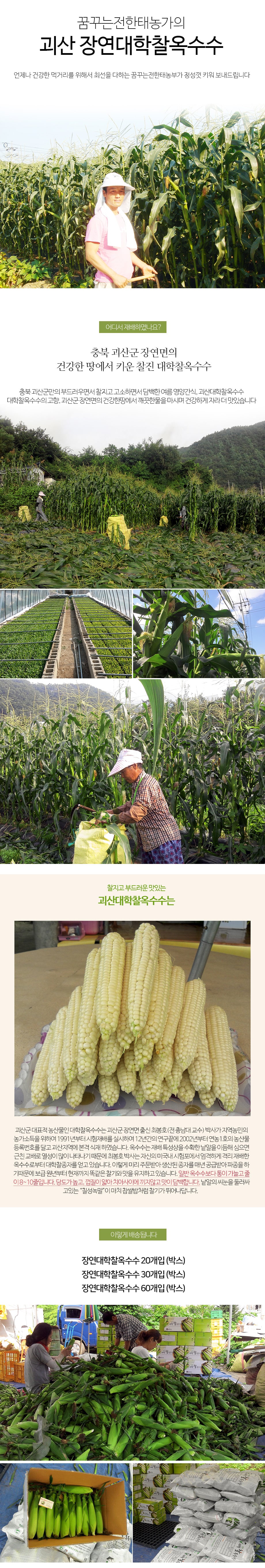 editor이미지