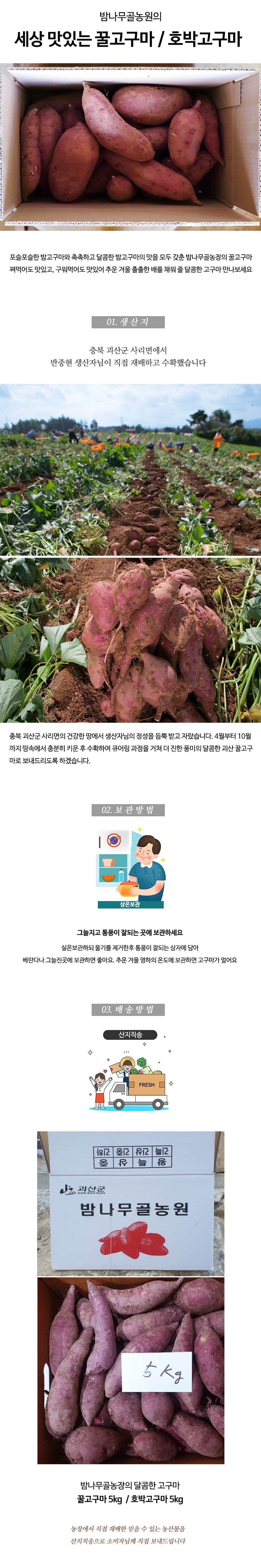 editor이미지