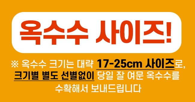 editor이미지