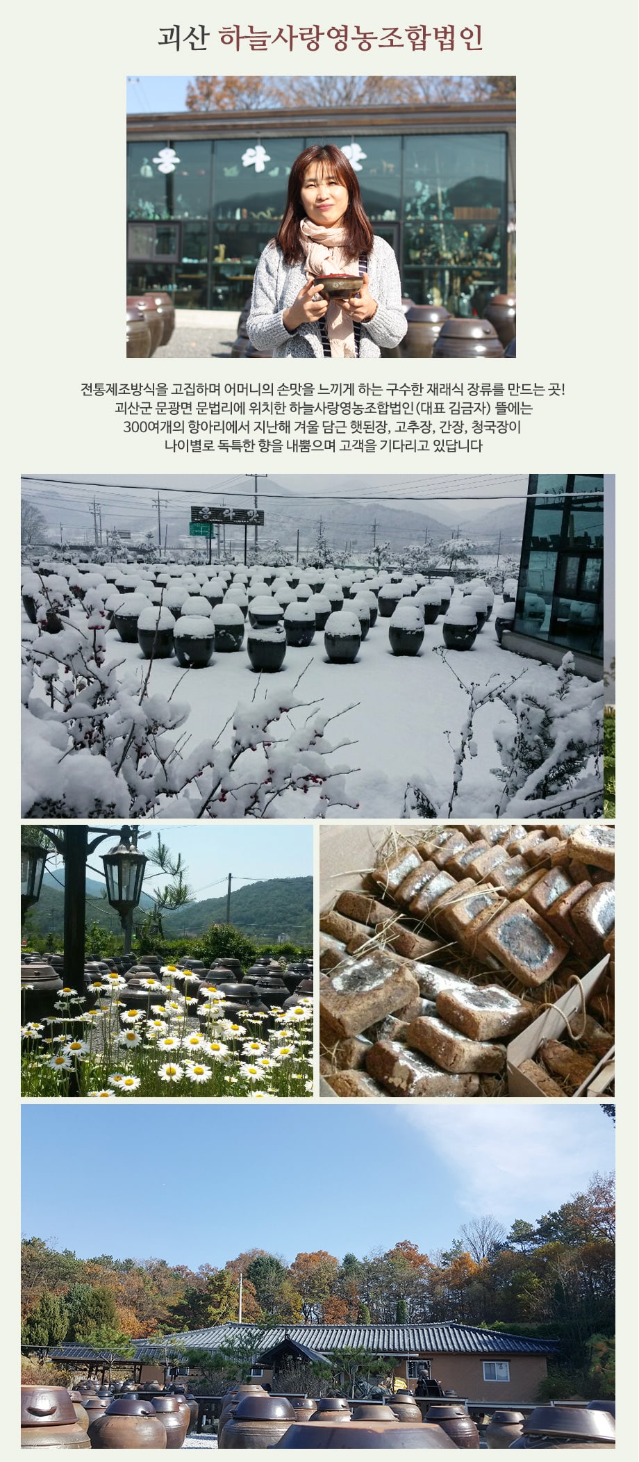 editor이미지