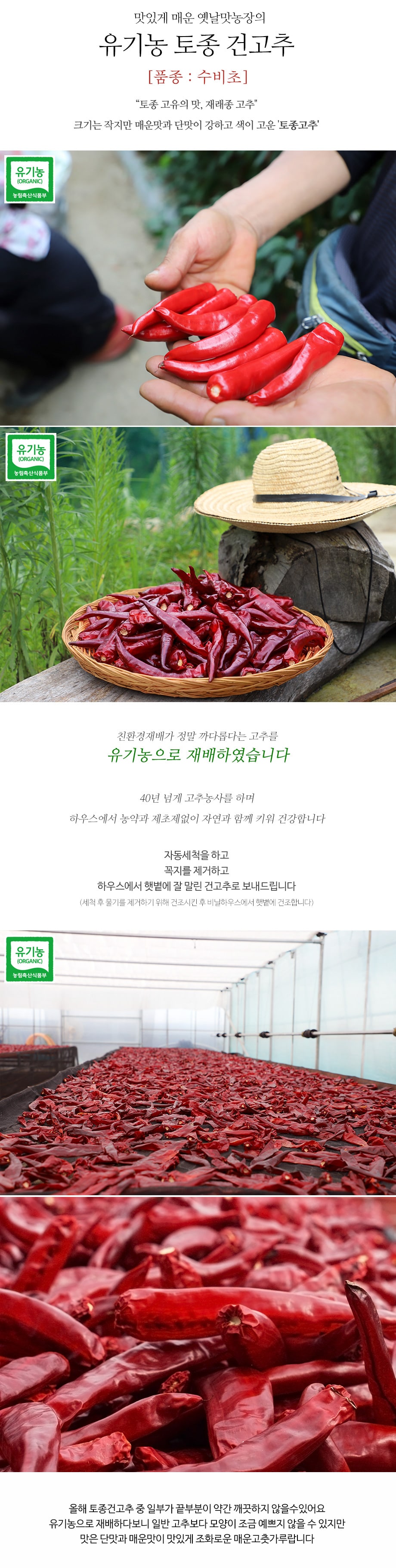 editor이미지