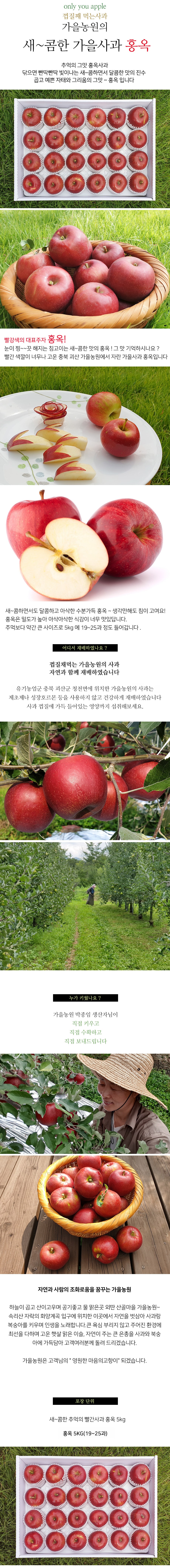 editor이미지
