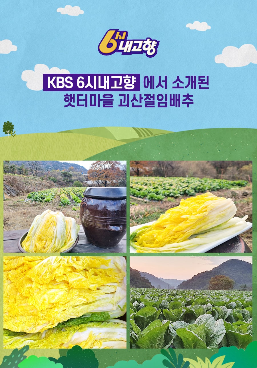 editor이미지