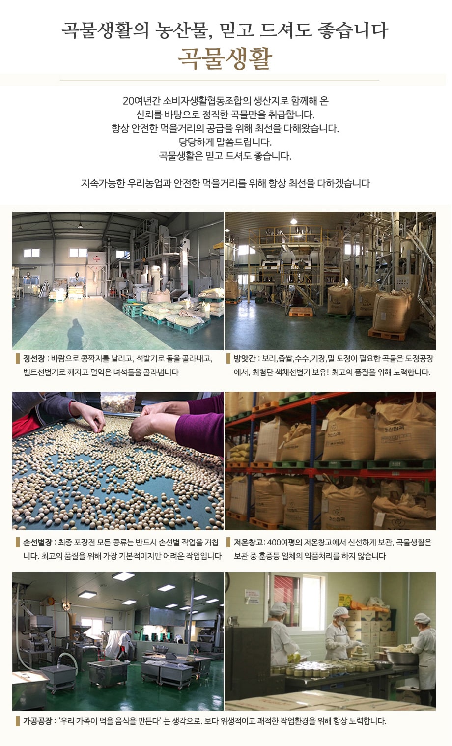 editor이미지
