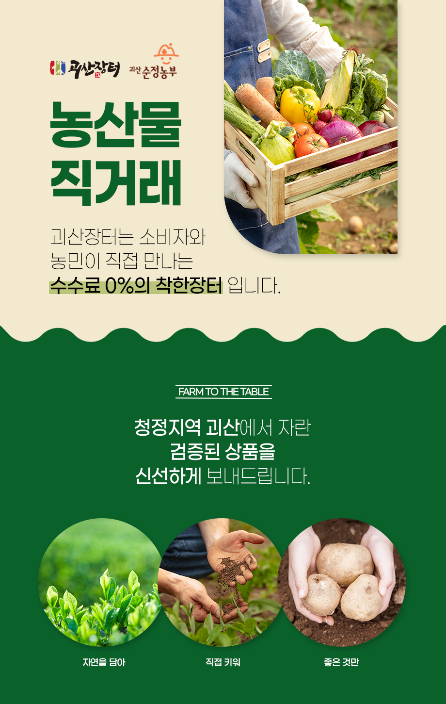 editor이미지