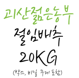 editor이미지
