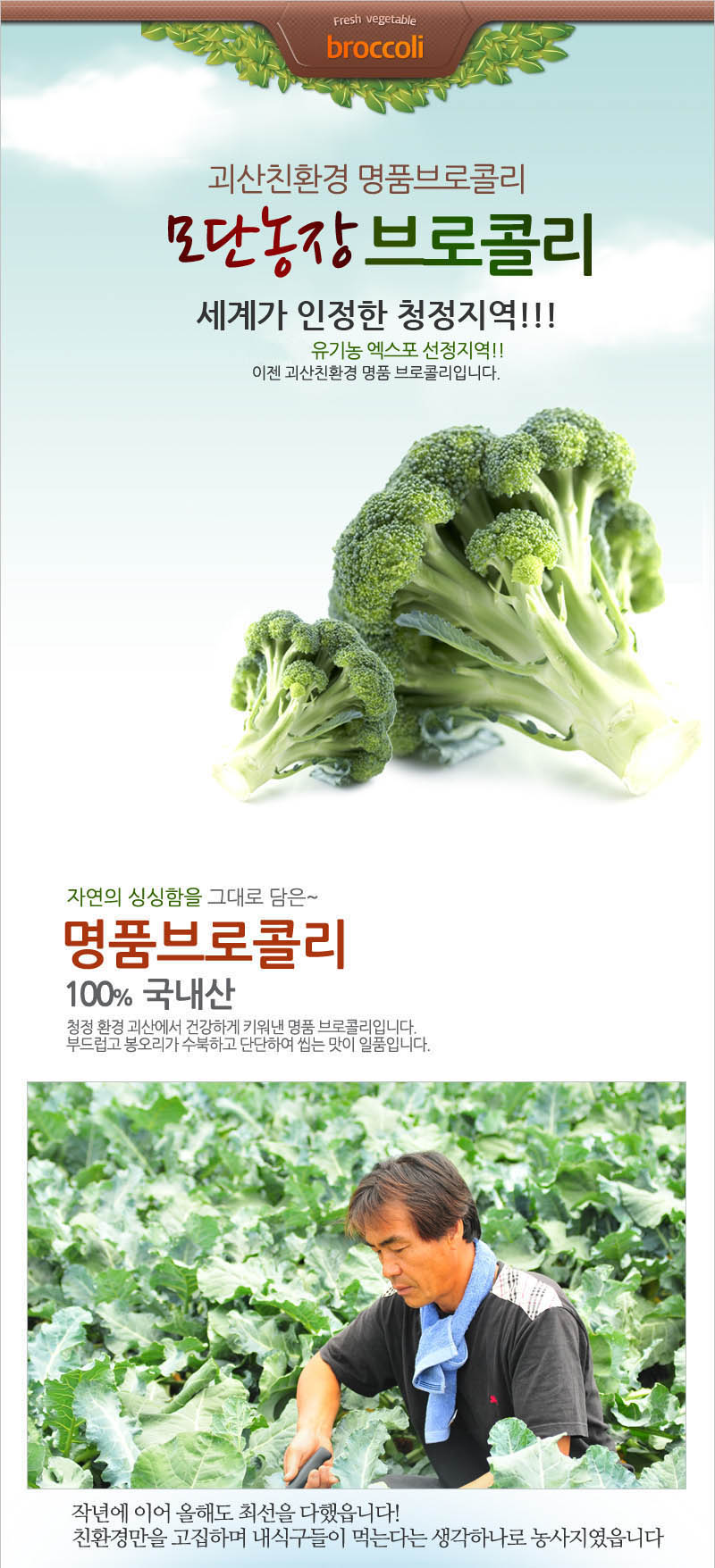 editor이미지