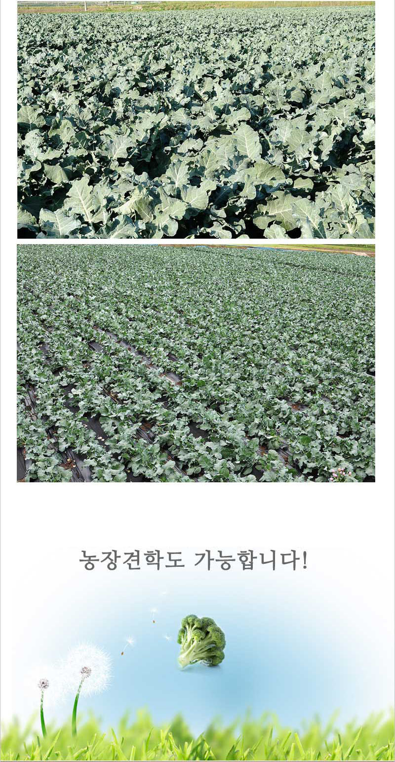 editor이미지