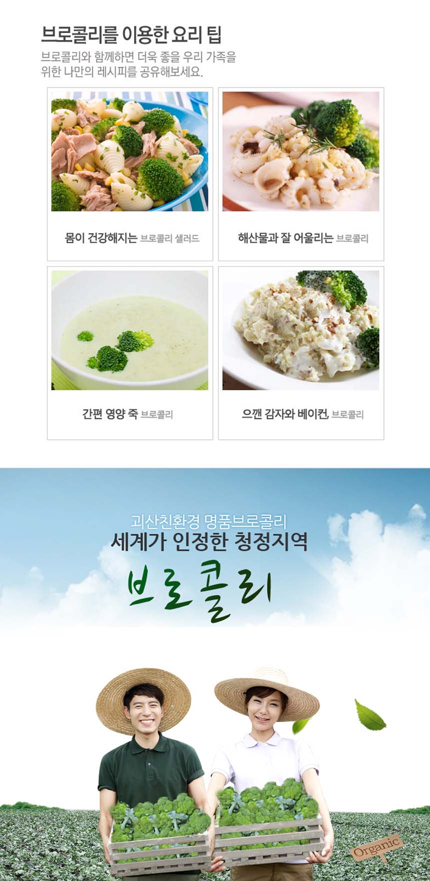 editor이미지
