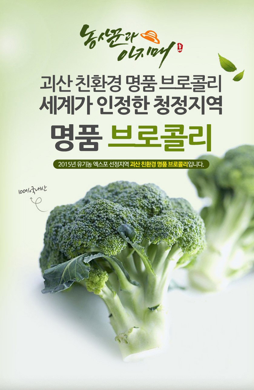 editor이미지