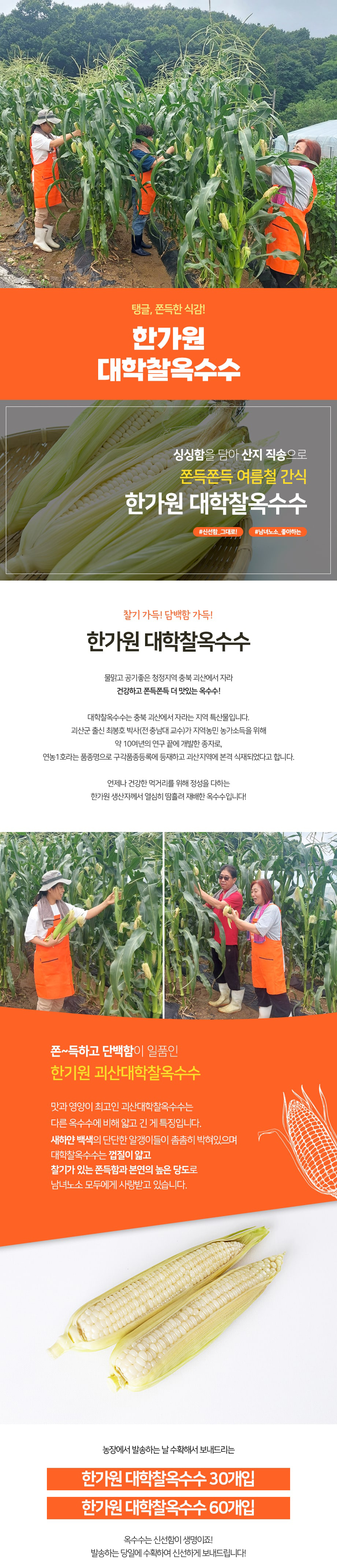 editor이미지