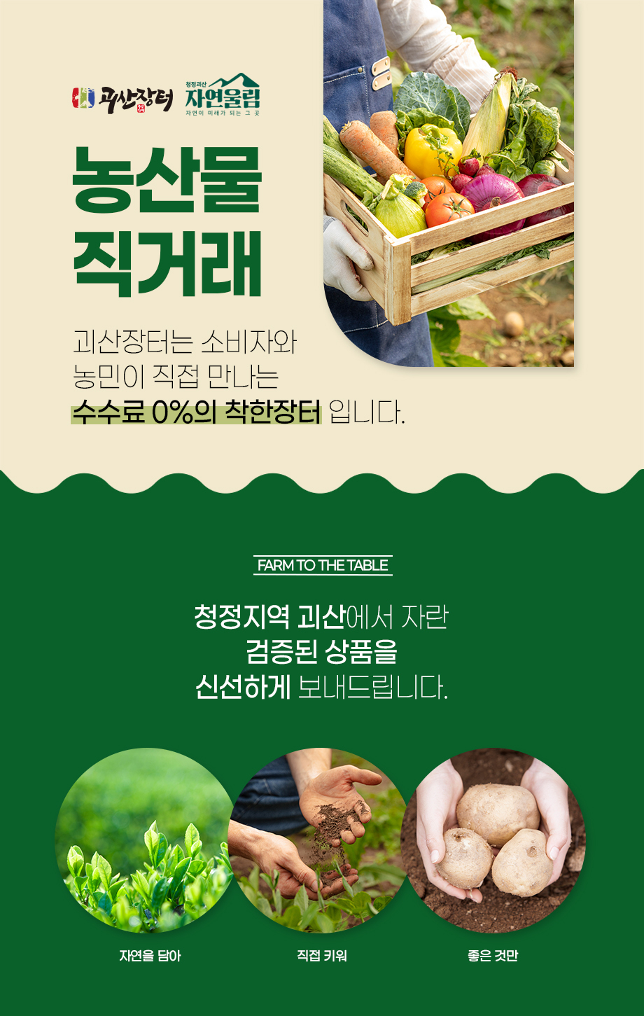 editor이미지