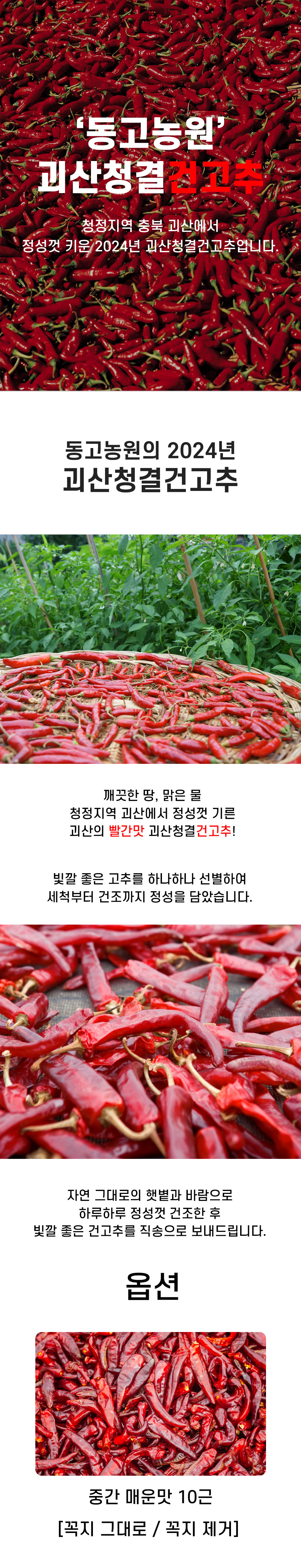editor이미지