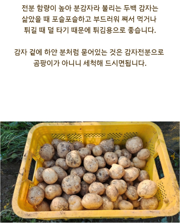 editor이미지