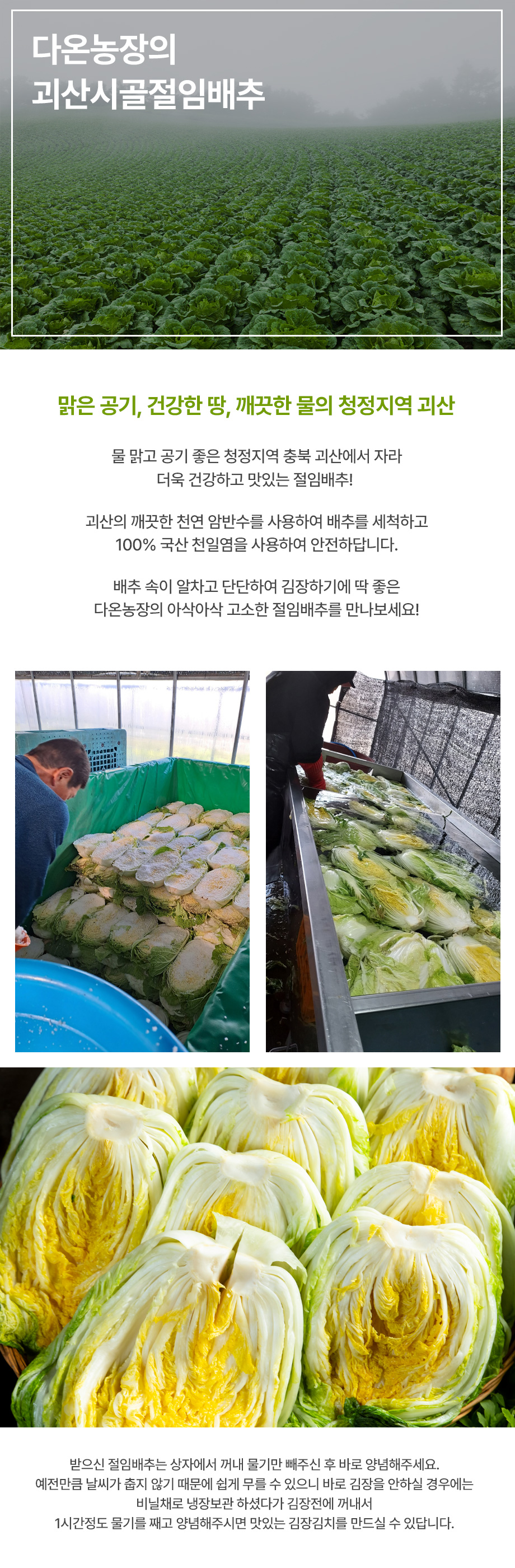 editor이미지