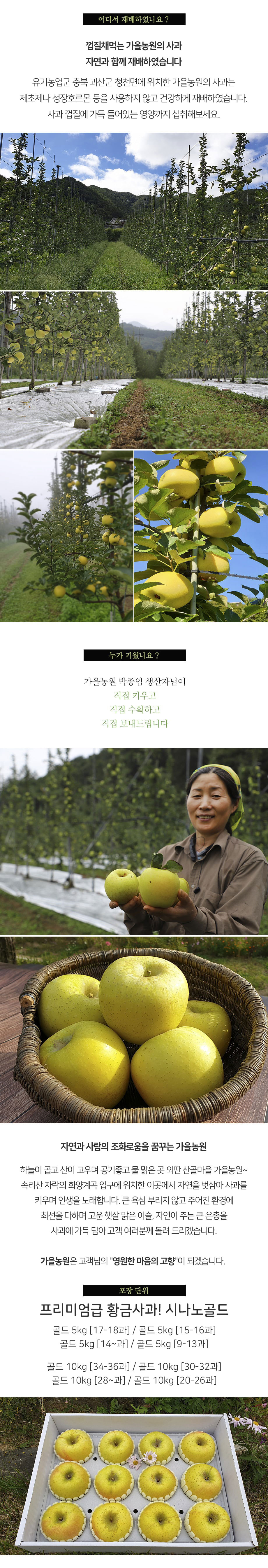 editor이미지