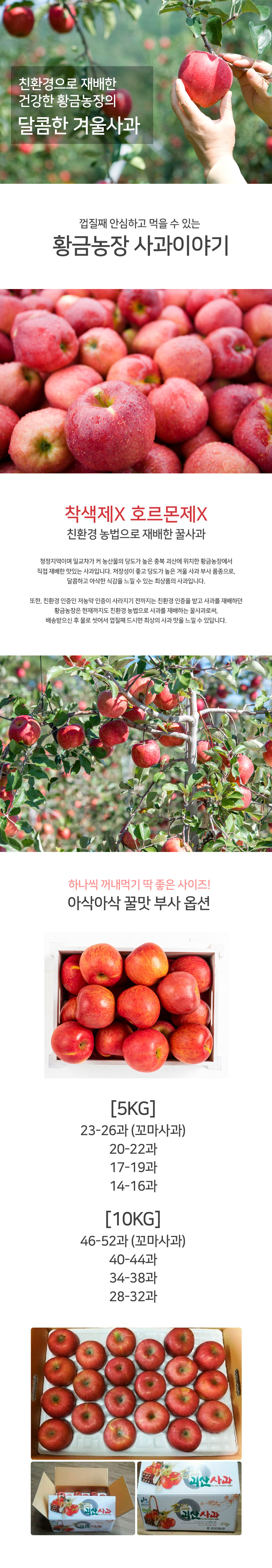 editor이미지