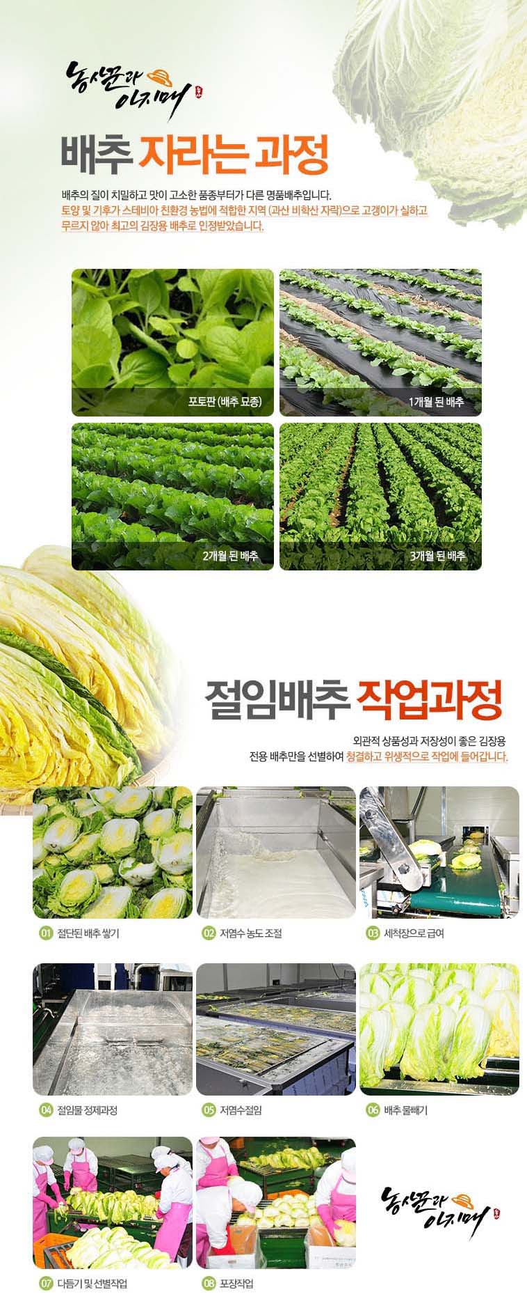 editor이미지