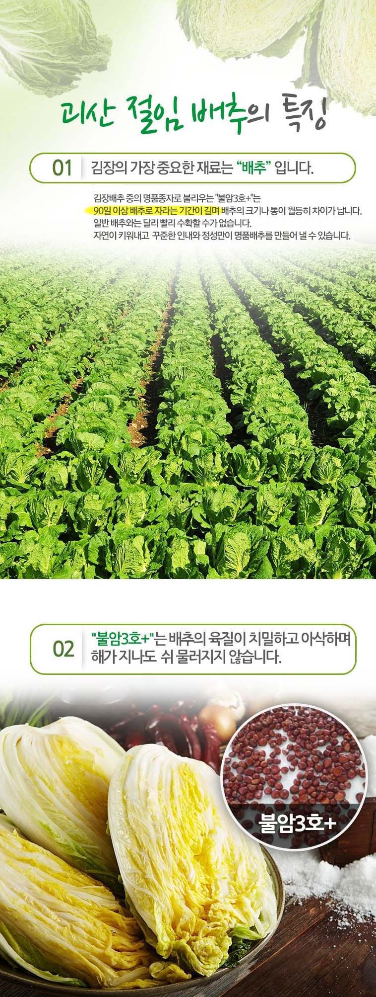 editor이미지