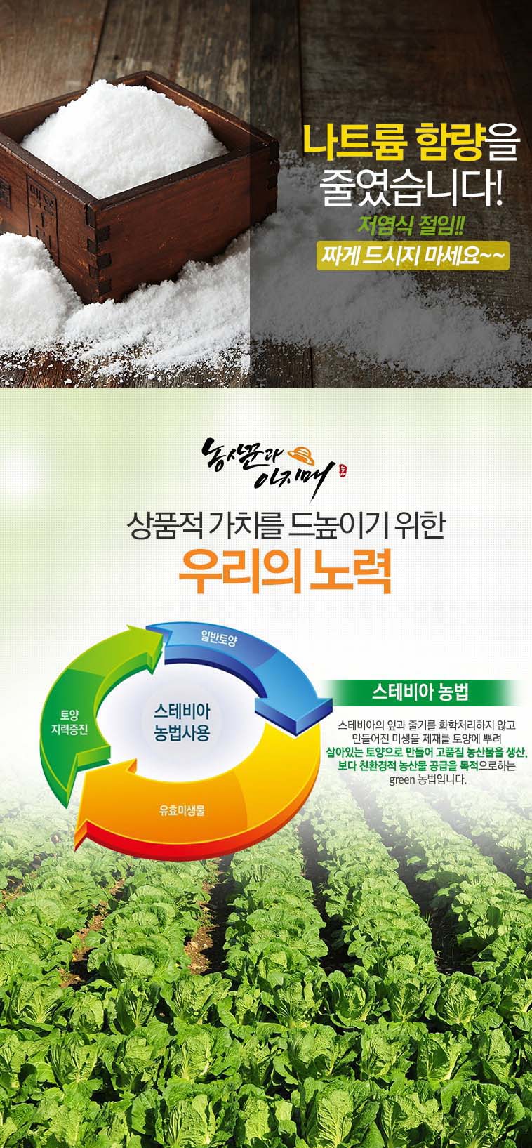editor이미지
