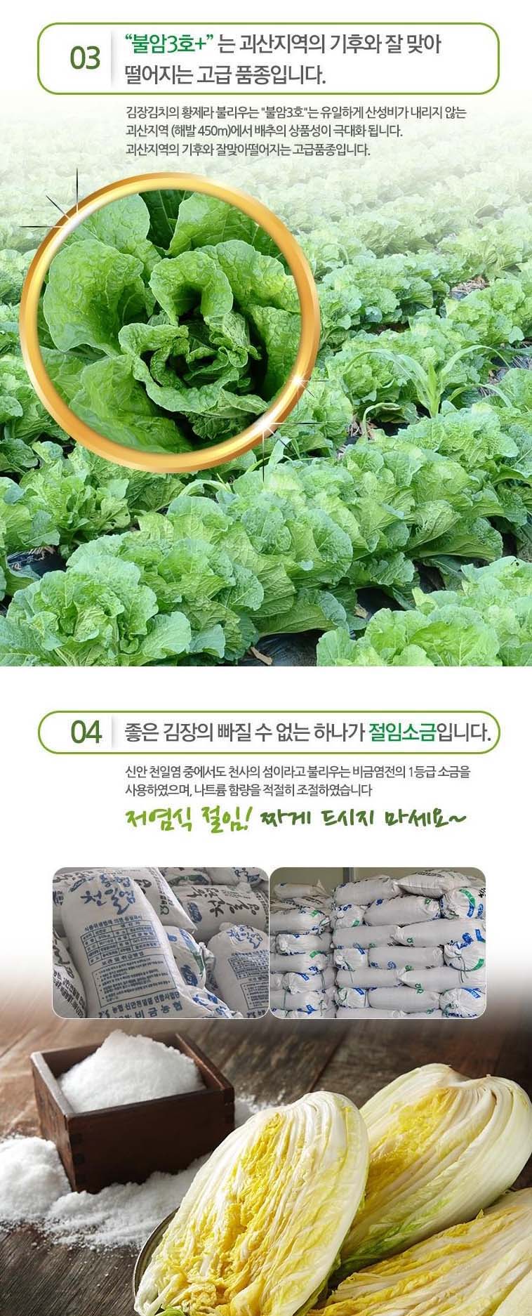 editor이미지