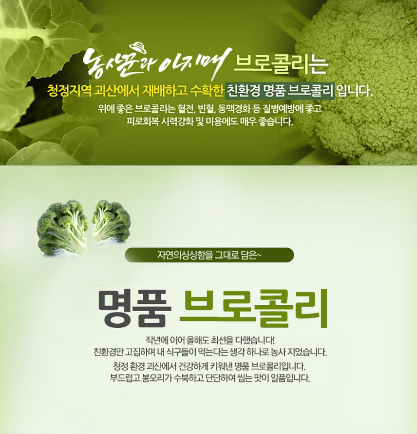 editor이미지