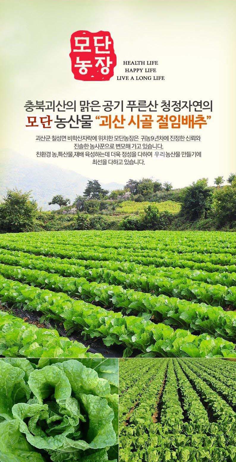 editor이미지