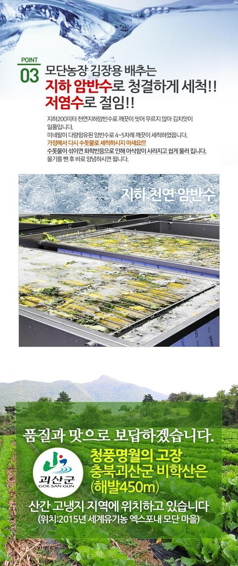 editor이미지