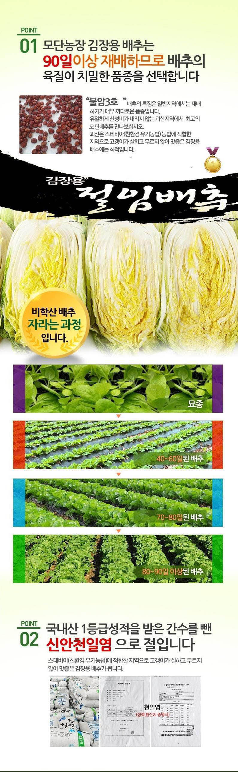 editor이미지