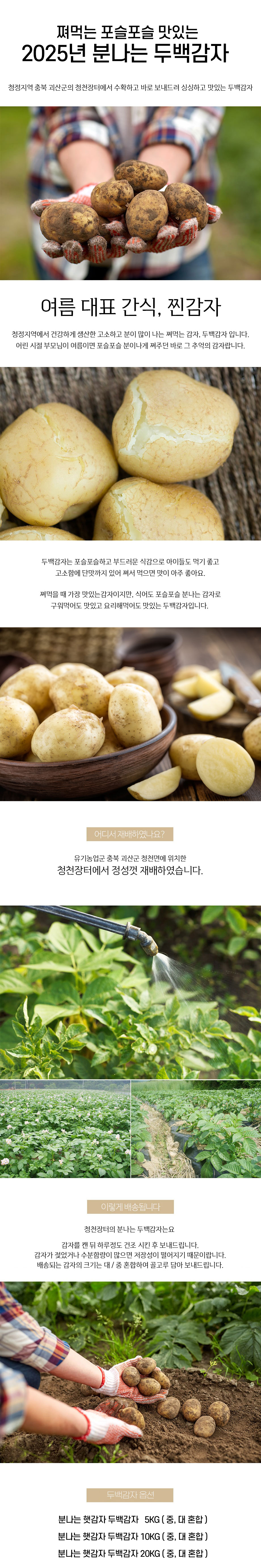 editor이미지