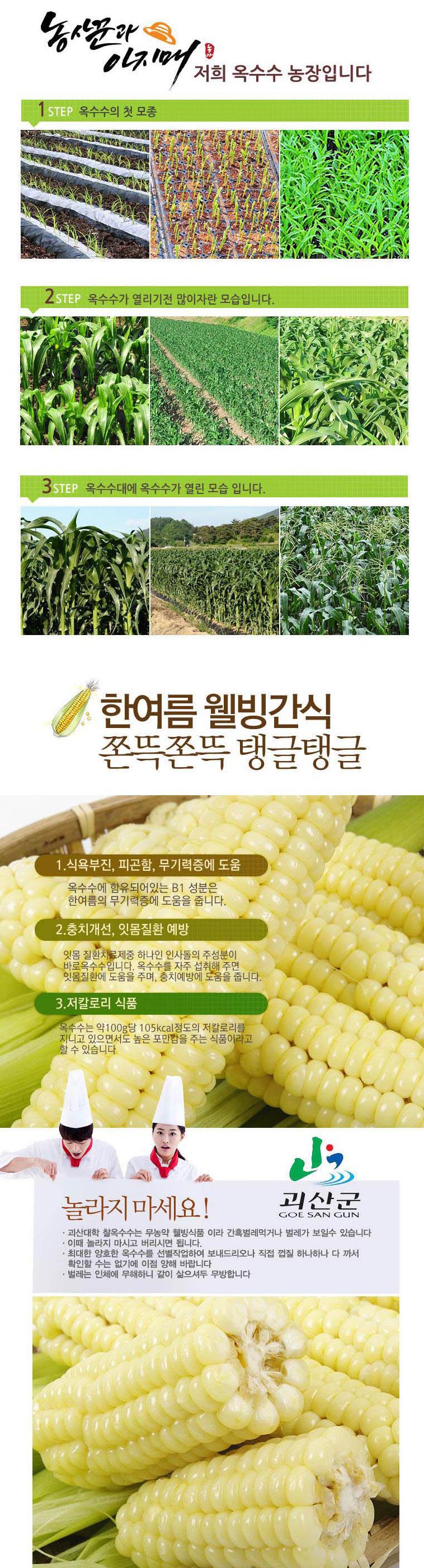 editor이미지