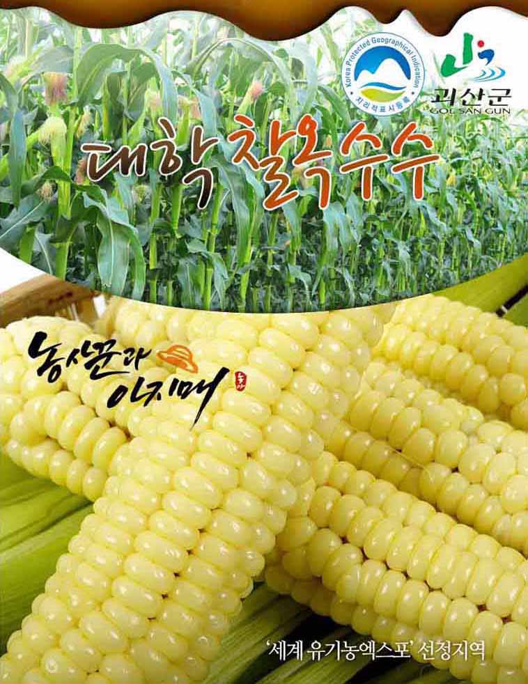 editor이미지