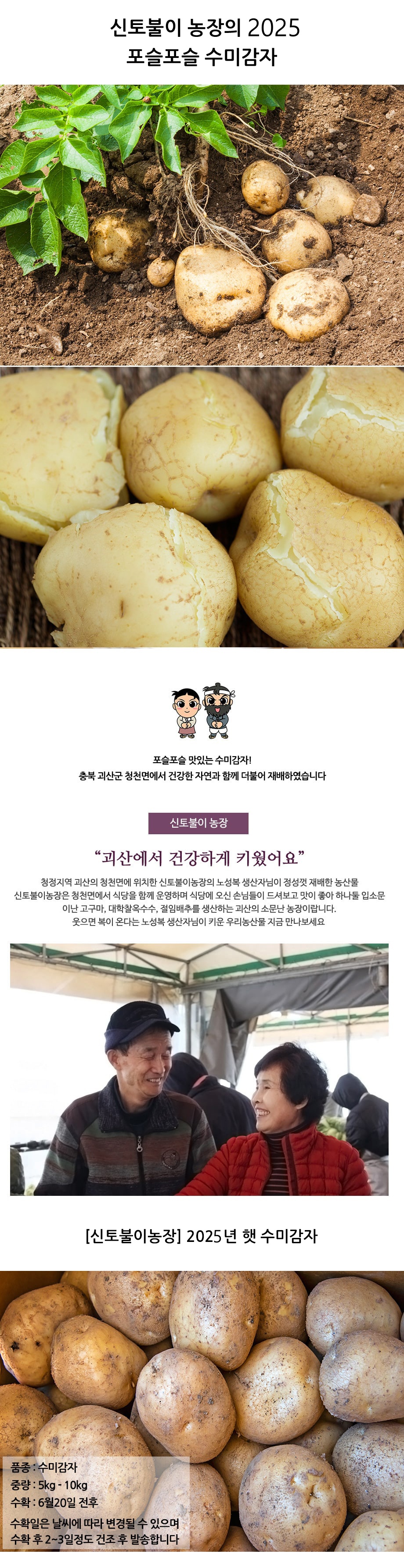 editor이미지