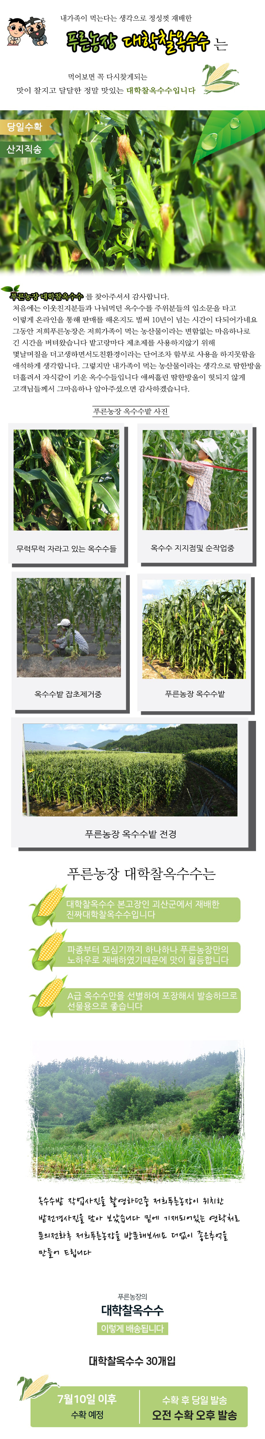 editor이미지