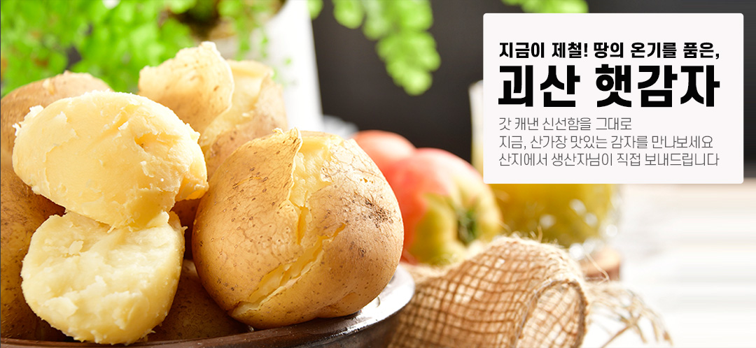 editor이미지