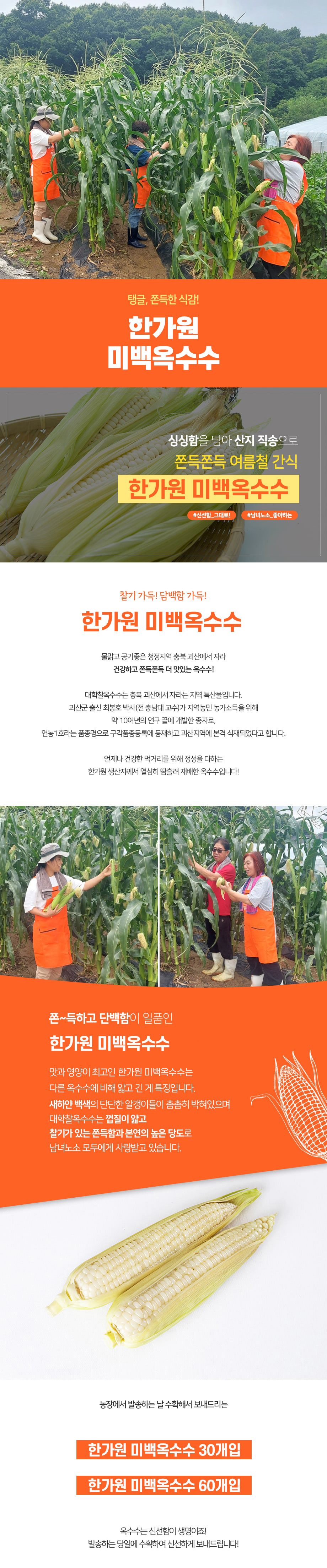 editor이미지