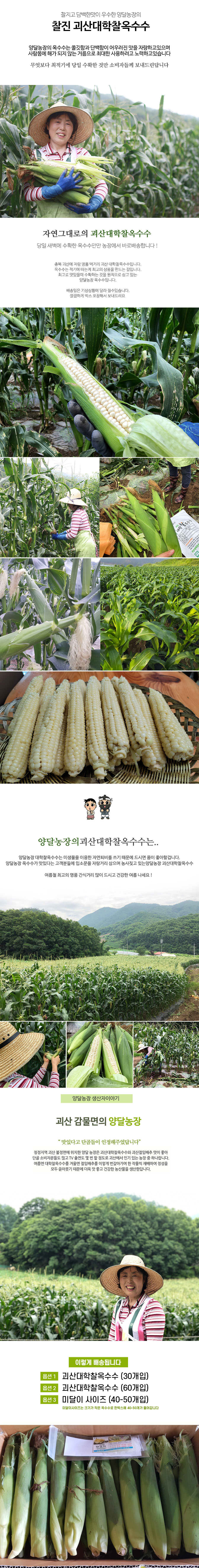 editor이미지