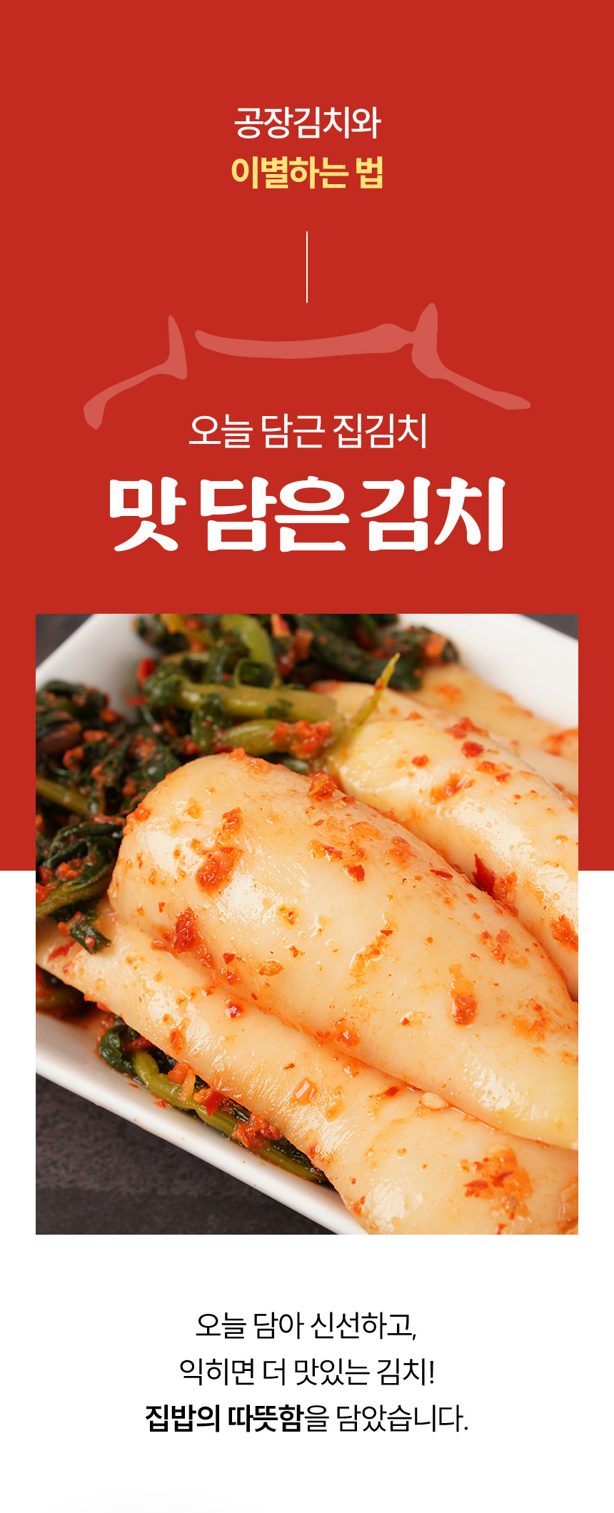 editor이미지