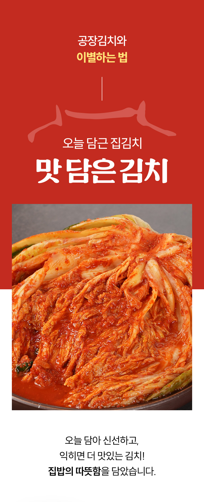 editor이미지