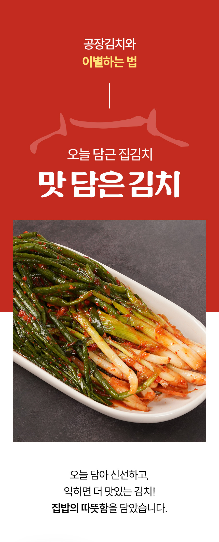 editor이미지