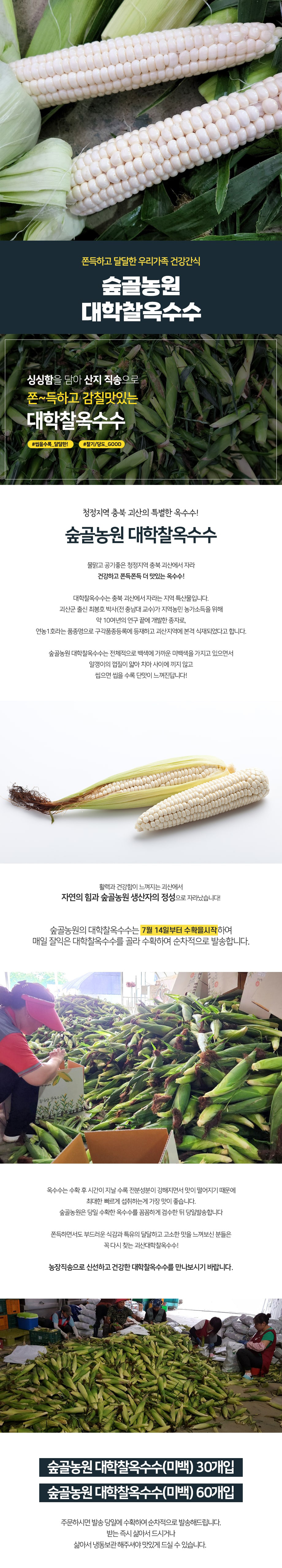 editor이미지
