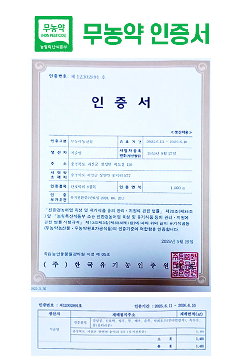 editor이미지