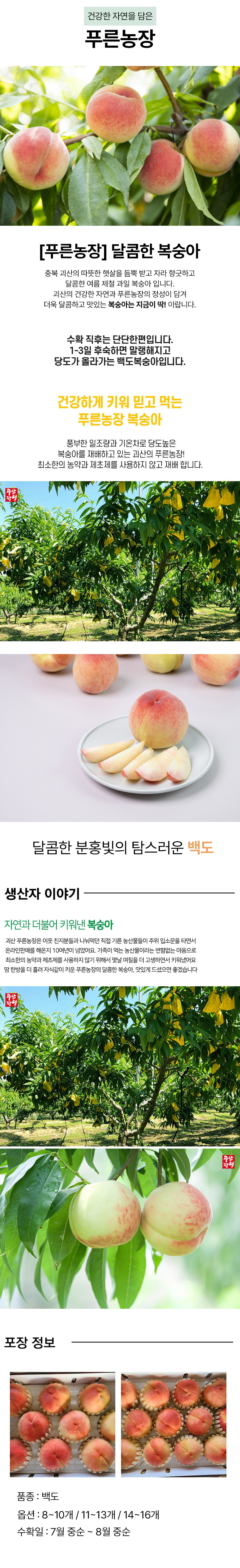 editor이미지